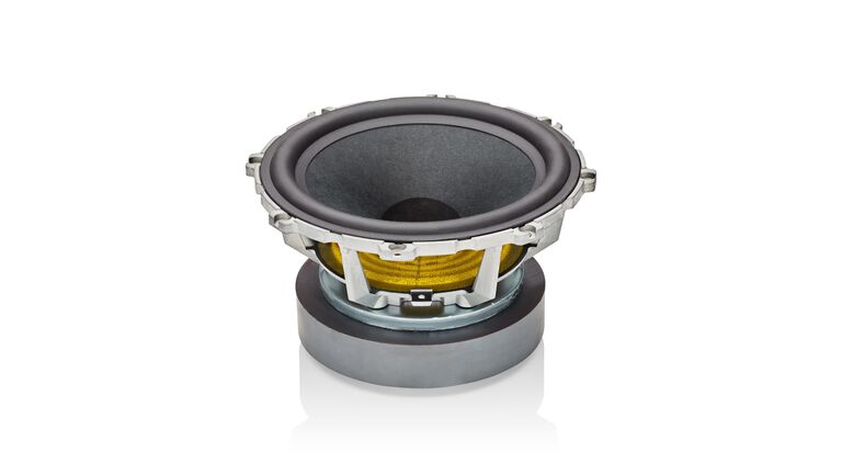 Midrange bass driver