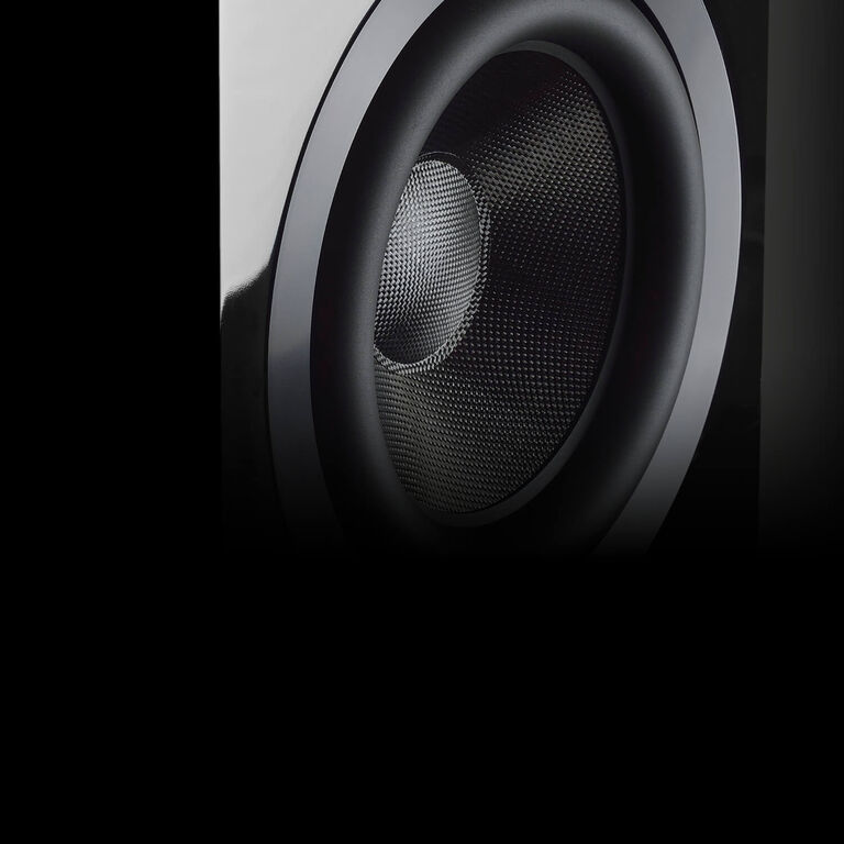 Dedicated to True Sound